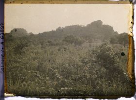 Image représentant Paysage vers les montagnes