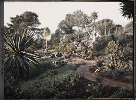 Image représentant Cap-Martin - Le Jardin