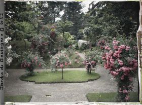 Image représentant Parterre de rosiers situé au sud-est du verger-roseraie, à proximité du jardin japonais