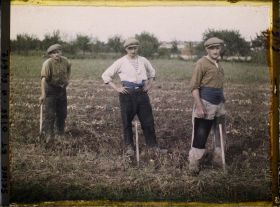 Image représentant Ile de France, Pontoise, Ouvriers Agricoles - arrachant les pommes de terre