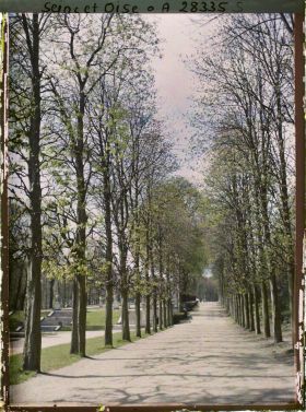 Image représentant L'allée de la Carrière dans le petit parc