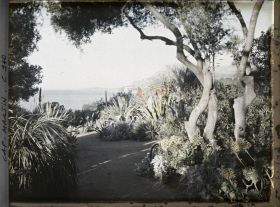 Image représentant Le Jardin vue vers Monaco