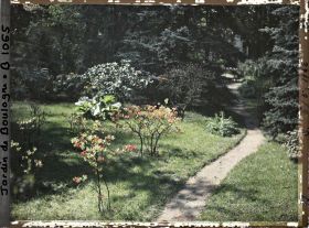 Image représentant Azalées en fleurs au bord du chemin qui, longeant le marais, mène à l'ouest de la forêt bleue