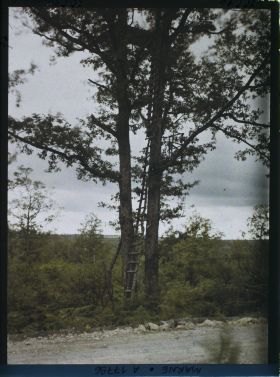 Image représentant France, Bois de la Chalase, Poste d'observation dans le Bois de la Chalase