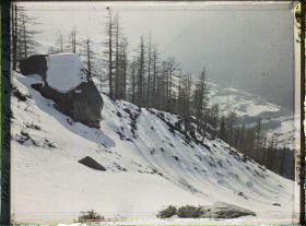 Image représentant France Les Alpes, Le Plan de l'Aiguille, Couloir d'avalanches de la Cornua (Couloir du Glacier des Pèlerins)