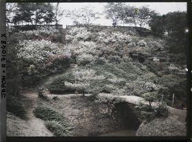 Image représentant Parc