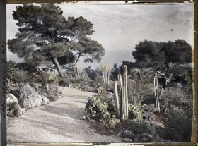 Image représentant Le Jardin, vue vers la mer