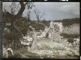 Image représentant France, Sancy, Une rue, maisons en ruines