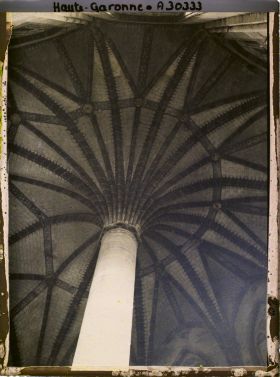 Image représentant Le palmier, voûte gothique de l'église des Jacobins