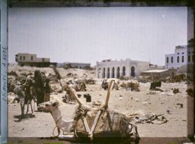 Image représentant Le marché au bois