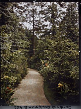 Image représentant Allée de la forêt bleue bordée de cannas en fleurs