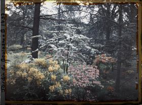 Image représentant Massif d'arbustes en fleurs proche de la partie est du marais, vu en direction du nord, nord-est