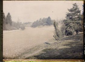 Image représentant Ile de France, Vallangoujard, Terre labourée et ensemencée d'avoine pour la nourriture des lapins de Garenne