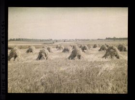 Image représentant Ile de France, Bouffemont, Blé moissonné