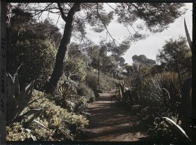 Image représentant le jardin la gde allée