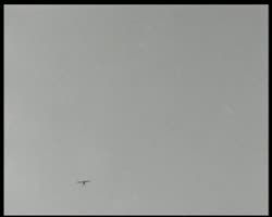 Image représentant Grand meeting aérien : essais de parachutes, dirigeables et avions