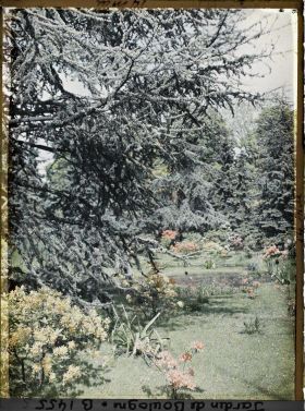 Image représentant Cèdre et azalées en fleurs proches du marais bordé d'arbustes colorés, vu en direction du nord