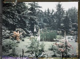 Image représentant La pelouse près du marais