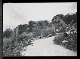 Image représentant le jardin