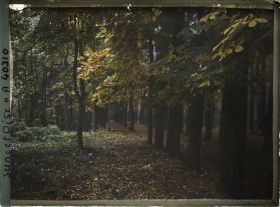 Image représentant Dans le parc