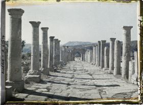 Image représentant Le cardo maximus vestiges de de l'antique Cuicul