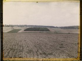 Image représentant Ile de France, Sarcelle St Briec, Verger de poiriers