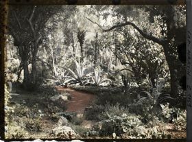 Image représentant le jardin