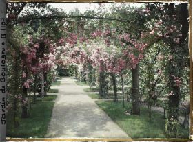 Image représentant Axe central du verger-roseraie vu vers la dépendance, après le rond-point proche du jardin français