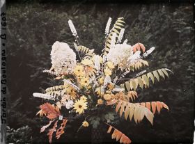 Image représentant Bouquet automnal de feuillages et de fleurs, photographié en extérieur sur un fond d'arbustes