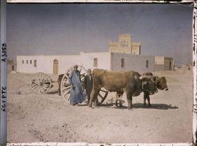 Image représentant Des hommes et leur charrette