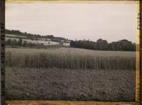 Image représentant Ile de France, Presles, Blé et Avoines