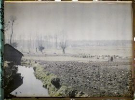 Image représentant France, Les Clayes, Les champs à la sortie du Village, au 1er plan un jardin potager