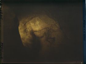 Image représentant La grotte des Trois-Frères : le sorcier