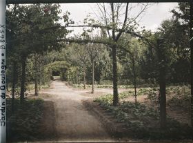 Image représentant Axe central du verger-roseraie bordé de légumes, vu non loin de la dépendance en direction de l'est