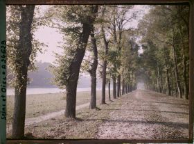 Image représentant France, Versailles, Parc de Versailles - Allée longeant le Grand Canal