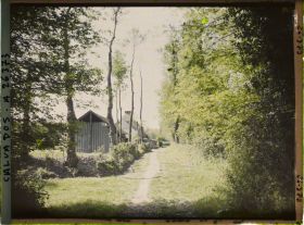 Image représentant Un petit chemin près d'Isigny-sur-Mer