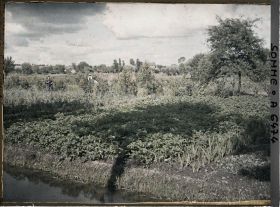 Image représentant France, Amiens, Les Hortillonnages