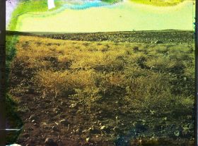 Image représentant Dans le Djebel Druze