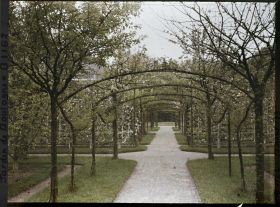 Image représentant Axe central du verger-roseraie vu en direction du jardin anglais, après le rond-point côté dépendance
