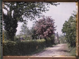 Image représentant Les aubépines