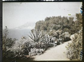 Image représentant le Jardin