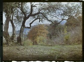 Image représentant Turquie, Mont Athos, Stravonikita, Paysage à Couthoumousson