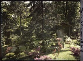 Image représentant Porte et lanterne végétale du " village japonais " dans un paysage proche du " sanctuaire japonais "