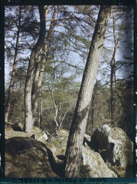 Image représentant France, Fontainebleau, Forêt de Fontainebleau