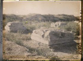 Image représentant Bases de colonnes carrées (ruines de l'Apadana ?)