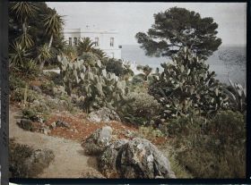 Image représentant Cap-Martin - Le Jardin