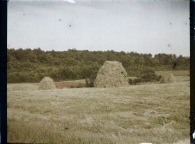 Image représentant Prairie et foin en tas