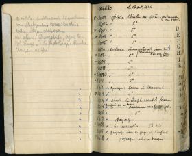 Image représentant Prêtres shintoïstes officiant lors de la fête du sanctuaire Tôshôgû dans l'Otabisho (reposoir des dieux)