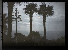 Image représentant Effet du soir