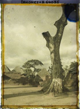 Image représentant Un arbre (sacré ?) dans le village